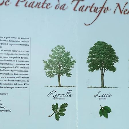 Eco House Roero Cottage Άλμπα Εξωτερικό φωτογραφία