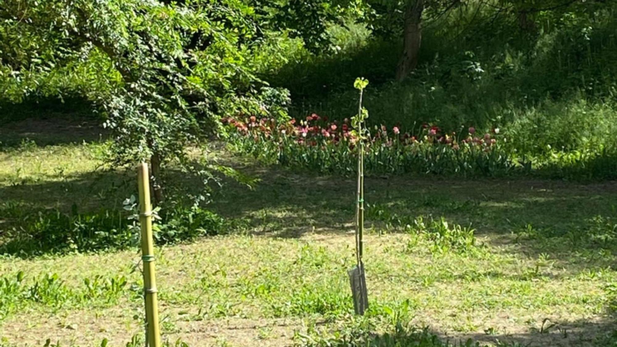 Eco House Roero Cottage Άλμπα Εξωτερικό φωτογραφία